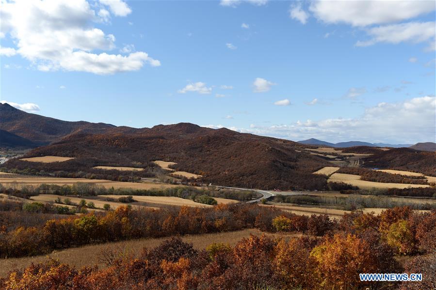 CHINA-INNER MONGOLIA-ZALANTUN-LANDSCAPE (CN)