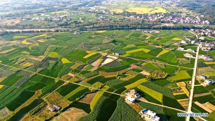 CHINA-GUANGXI-AUTUMN-AERIAL VIEW (CN)