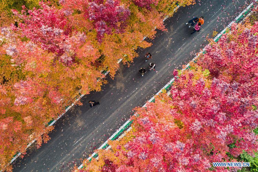 XINHUA PHOTOS OF THE DAY 