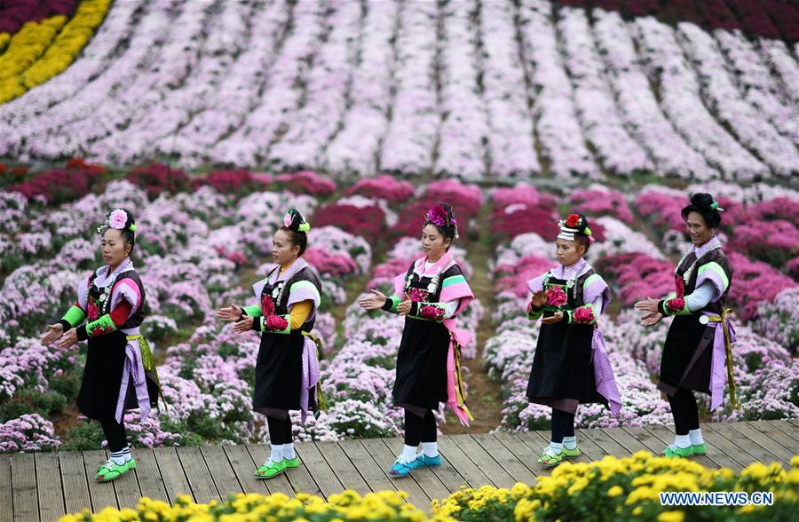 CHINA-GUIZHOU-QIANDONGNAN-CHRYSANTHEMUM (CN)