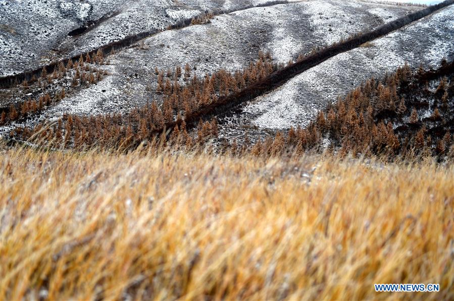 CHINA-INNER MONGOLIA-DAQING MOUNTAIN-SNOW-SCENERY (CN)