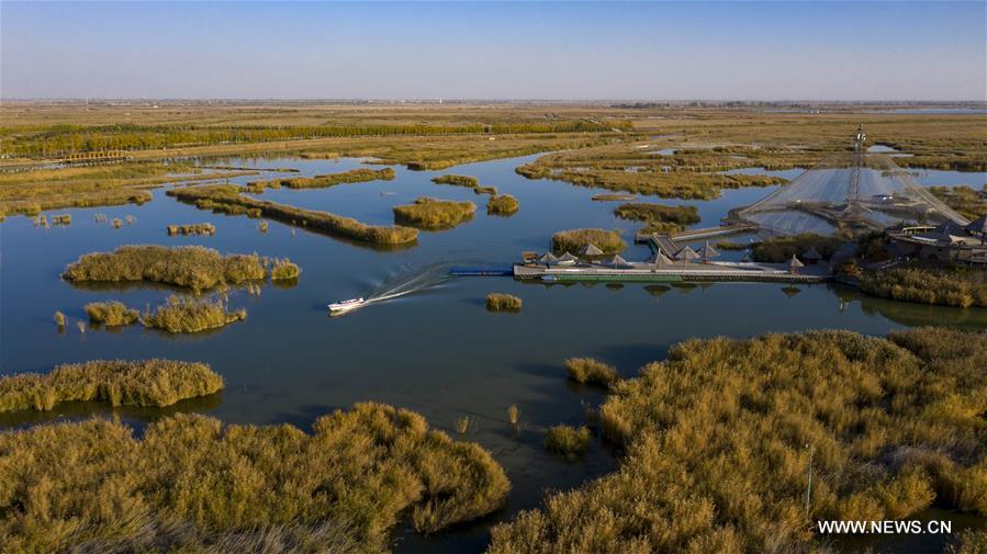 CHINA-NINGXIA-SHAHU LAKE-SCENERY (CN)