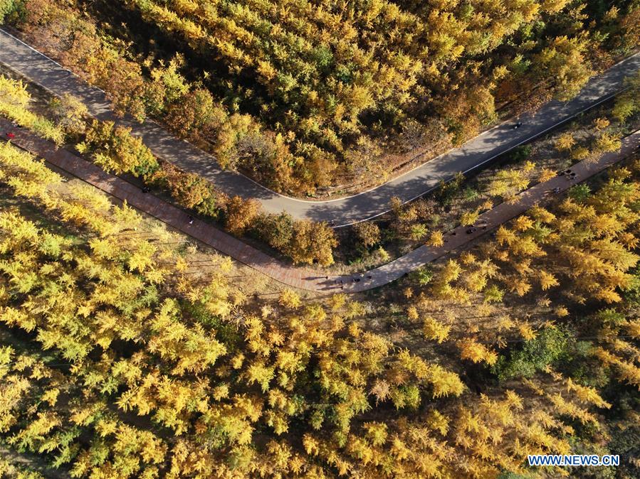 CHINA-HEBEI-TAIHANG MOUNTAINS-SCENERY (CN)