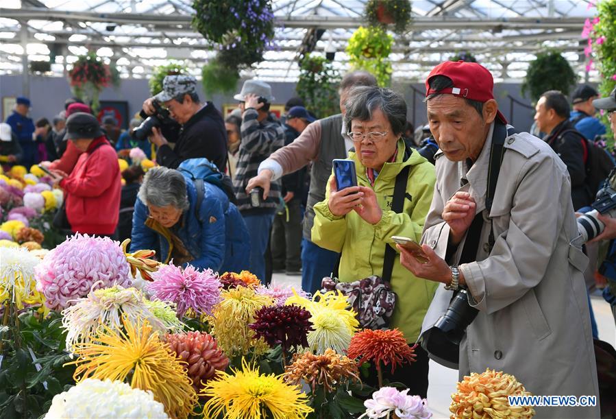 CHINA-BEIJING-CHRYSANTHEMUM-EXHIBITION (CN)