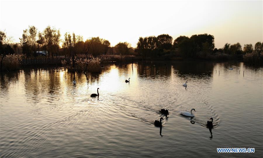 CHINA-SHANDONG-JINAN-WETLAND (CN)