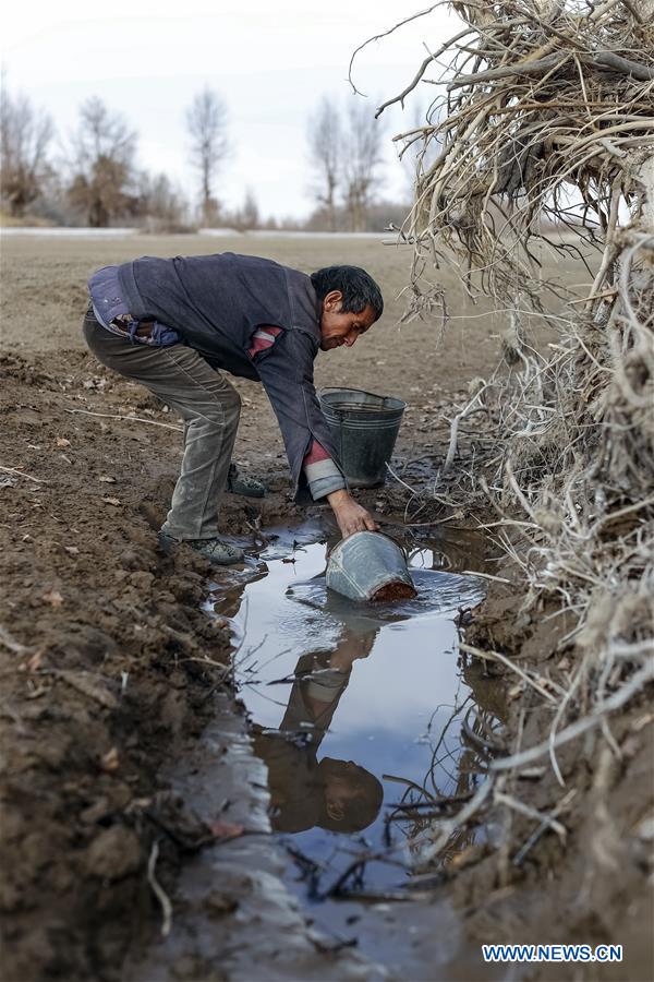 CHINA-XINJIANG-TAKLIMAKAN DESERT-RESETTLEMENT (CN)