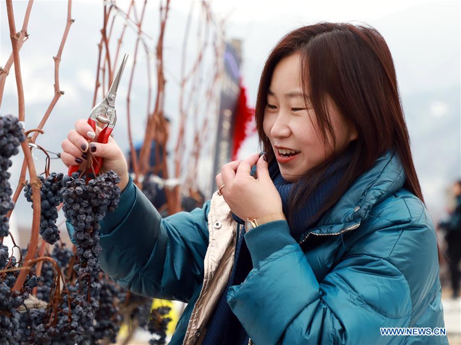 CHINA-JILIN-ICE WINE FESTIVAL (CN)