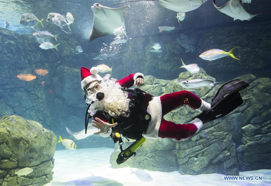 CANADA-TORONTO-SANTA CLAUS-DIVING