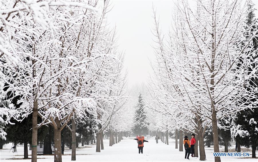 CHINA-BEIJING-SNOW SCENERY (CN)