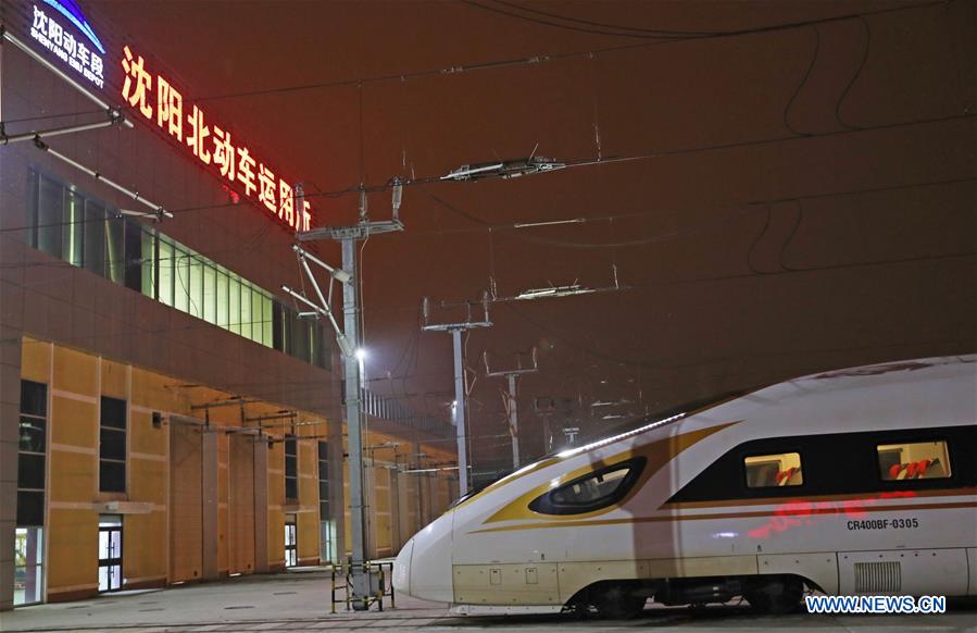 CHINA-LIAONING-SHENYANG-SPRING FESTIVAL TRAVEL RUSH-PREPARATION (CN)