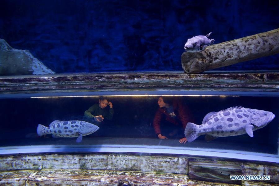 MIDEAST-JERUSALEM-AQUARIUM