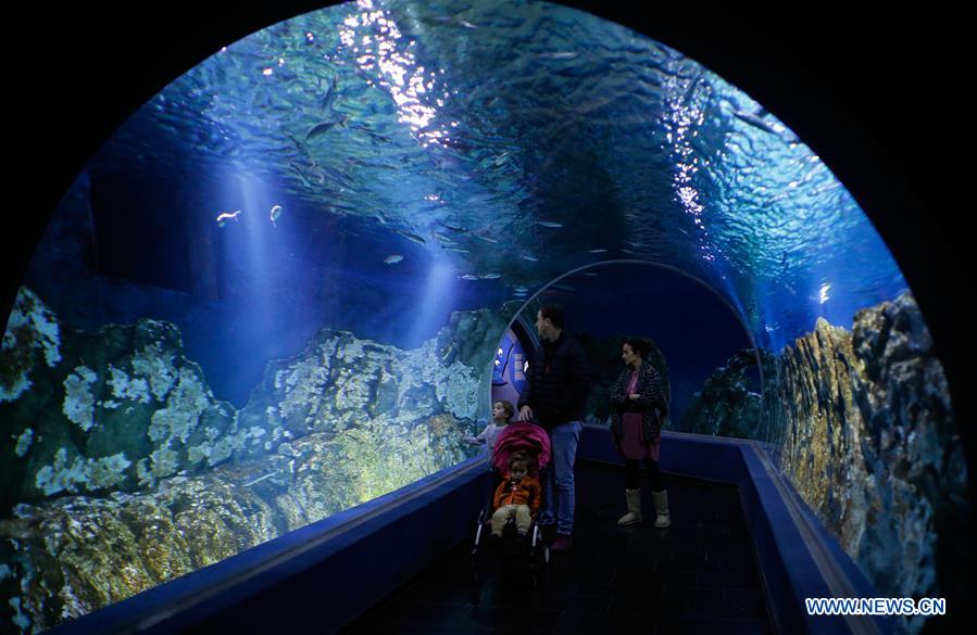 MIDEAST-JERUSALEM-AQUARIUM