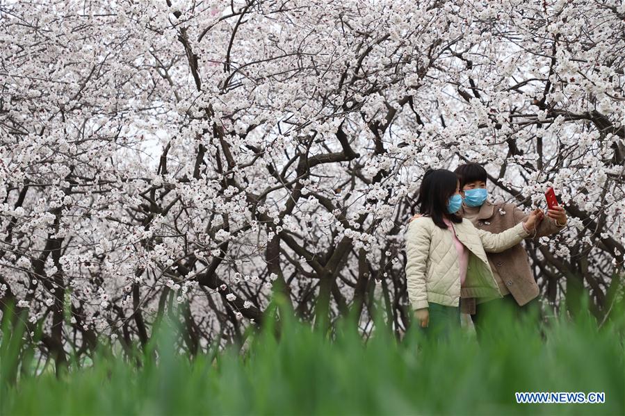 #CHINA-SPRING-SCENERY(CN)