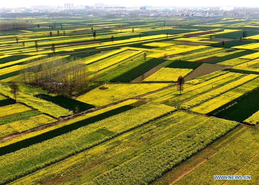 CHINA-HENAN-SPRING SCENERY (CN)