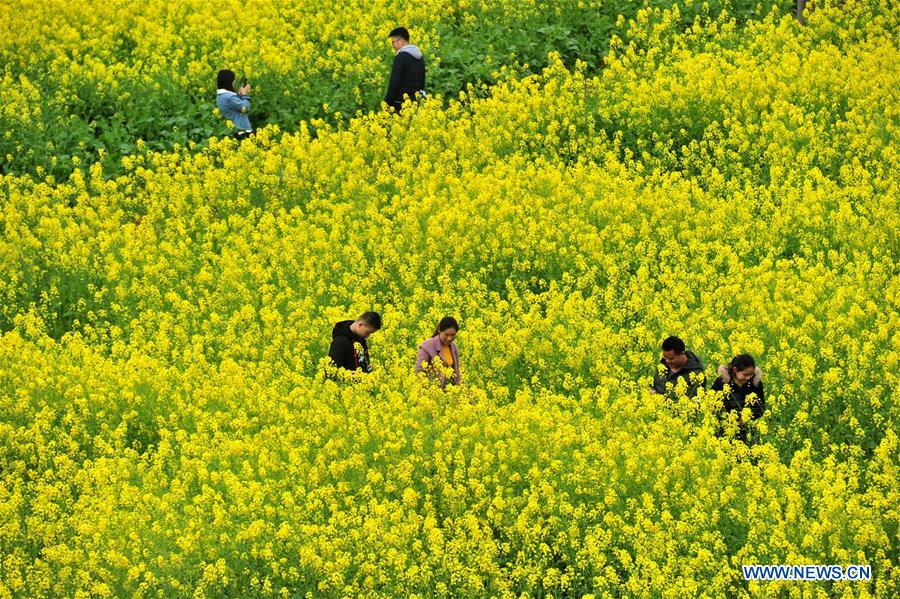 #CHINA-SPRING-SCENERY (CN)