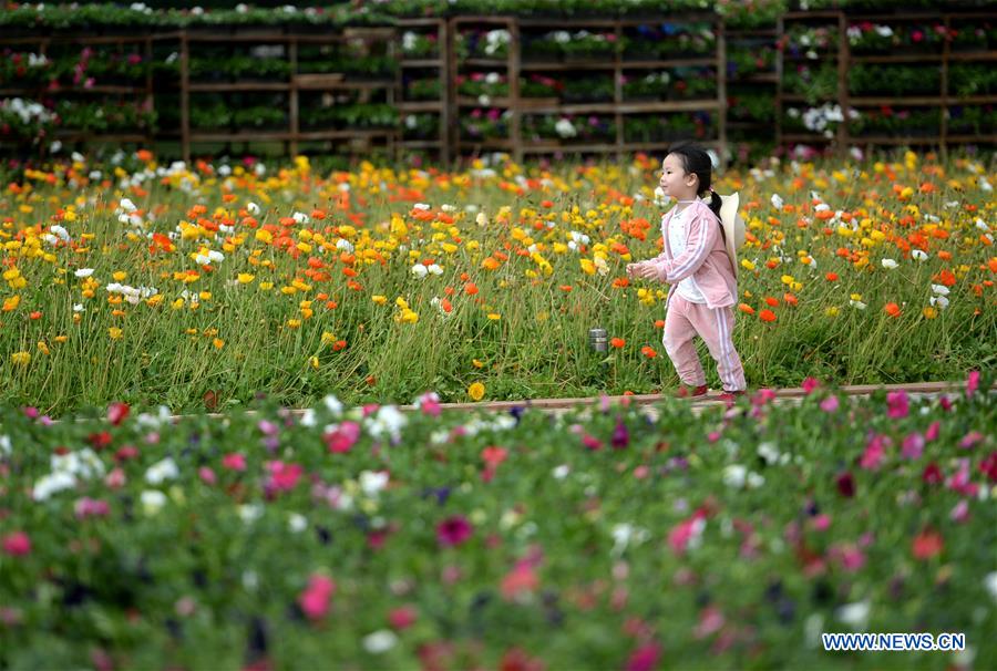 CHINA-YUNNAN-KUNMING-WORLD HORTICULTURE EXPOSITION (CN)