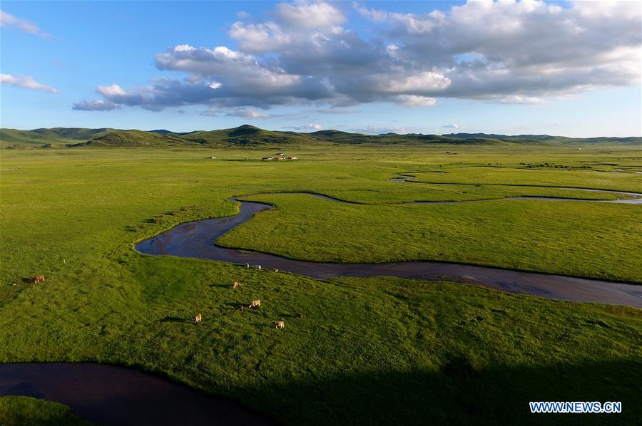 CHINA-INNER MONGOLIA-PASTURE SCENERY (CN)