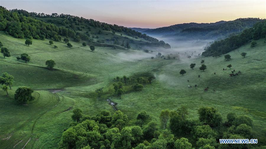 CHINA-SUMMER SCENERY-AERIAL VIEW (CN)