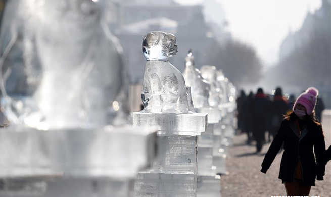 Lowest temperature of Harbin drops to minus 35 degrees Celsius