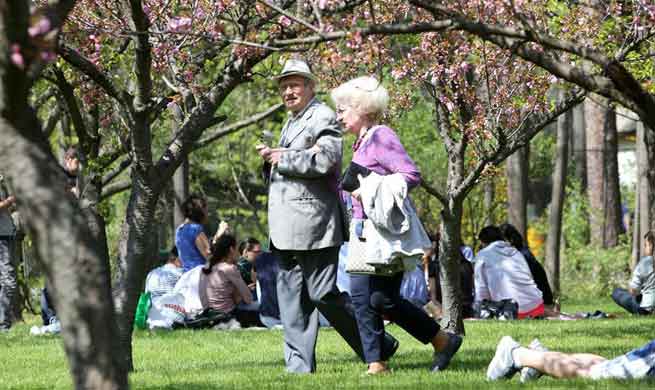 People enjoy cherry blossom at Herastrau Park in Bucharest, Romania