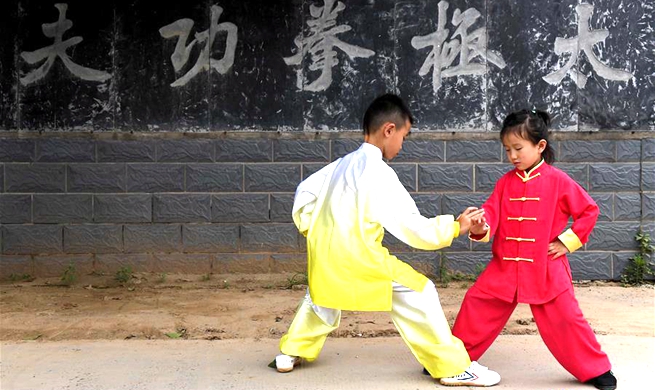 Taiji schools, training centers in central China's Henan attract lots of fans