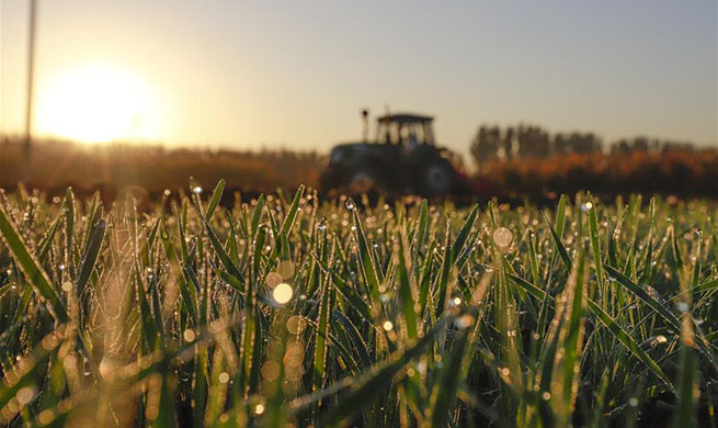 Autumn farmwork seen across China