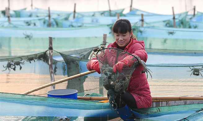 Local gov'ts help villagers to shake off poverty in Jiangsu, Shaanxi