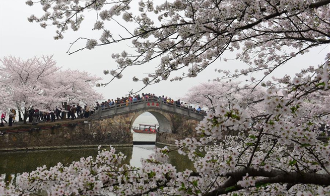 Scenery of Yuantouzhu scenic spot of Taihu Lake in Wuxi, China's Jiangsu