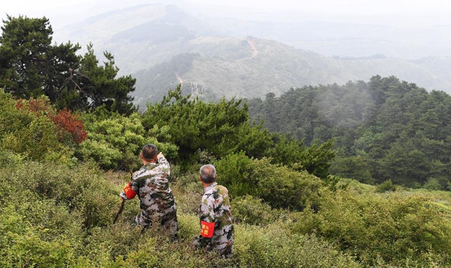 Pic story: Forest ranger He Xiaohong dedicates his life to forest protection