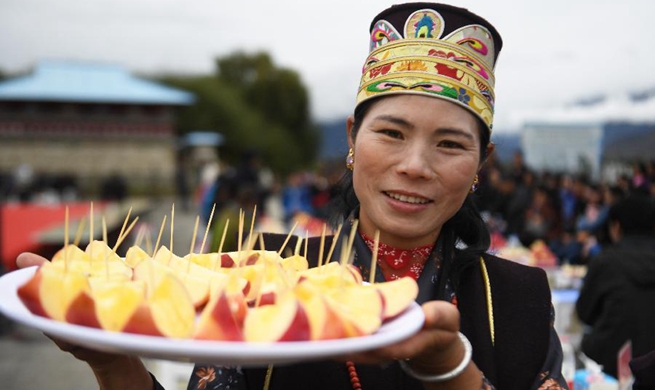 Training session on apple business held at village of China's Tibet