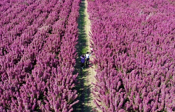 View of ecological landscapes in Laoting County, N China's Hebei