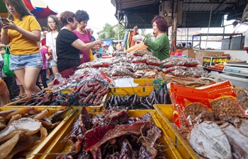 Local Chinese shop for upcoming Spring Festival in Malaysia