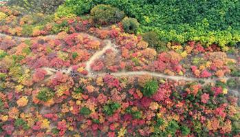 Scenery of Xiantai Mountain scenic area in N China's Hebei