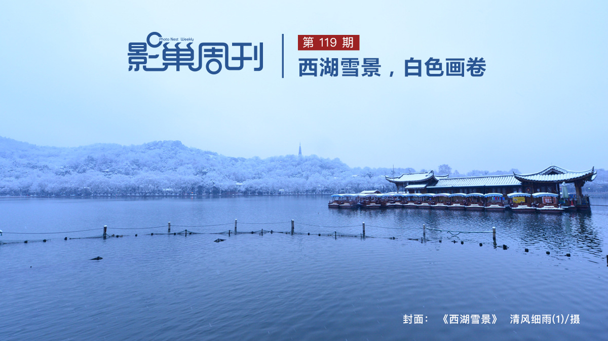 【影巢周刊】西湖雪景,，白色畫卷