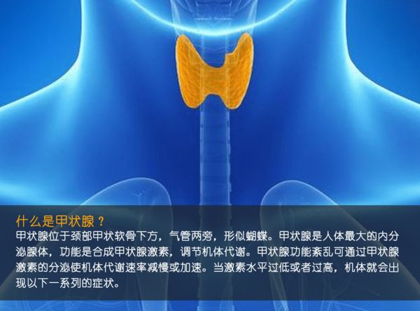 關(guān)注甲狀腺健康,，你應(yīng)該知道的那些事