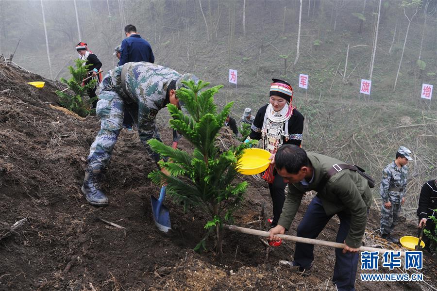 （圖文互動）（6）和平年代,，離死神最近的人——南部戰(zhàn)區(qū)陸軍云南掃雷大隊邊境掃雷排爆記事