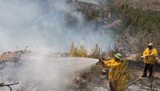 Hundreds evacuated near Jerusalem amidst massive wildfire