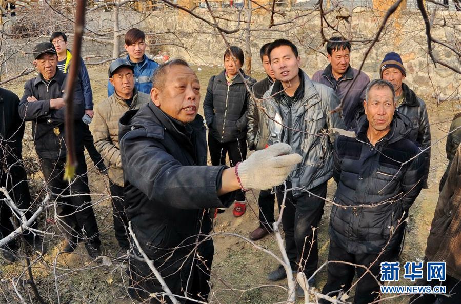 （新華全媒頭條·十九大特別報(bào)道·圖文互動(dòng)）（7）再塑黨的形象的偉大工程——中國共產(chǎn)黨自身建設(shè)的五年探索之路