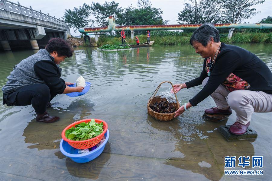 （砥礪奮進(jìn)的五年·長(zhǎng)江經(jīng)濟(jì)帶）（1）江南水鄉(xiāng)“河長(zhǎng)制” 共護(hù)鄉(xiāng)村一池清水