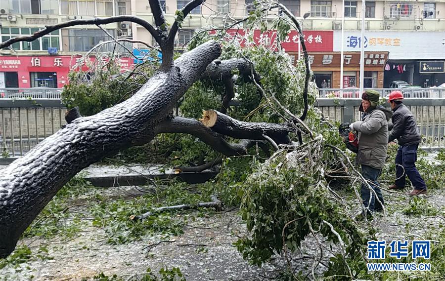 （新華全媒頭條）（7）雨雪冰凍中,，他們奮力前行——基層黨員干群抗擊冰雪災(zāi)害紀(jì)實(shí)