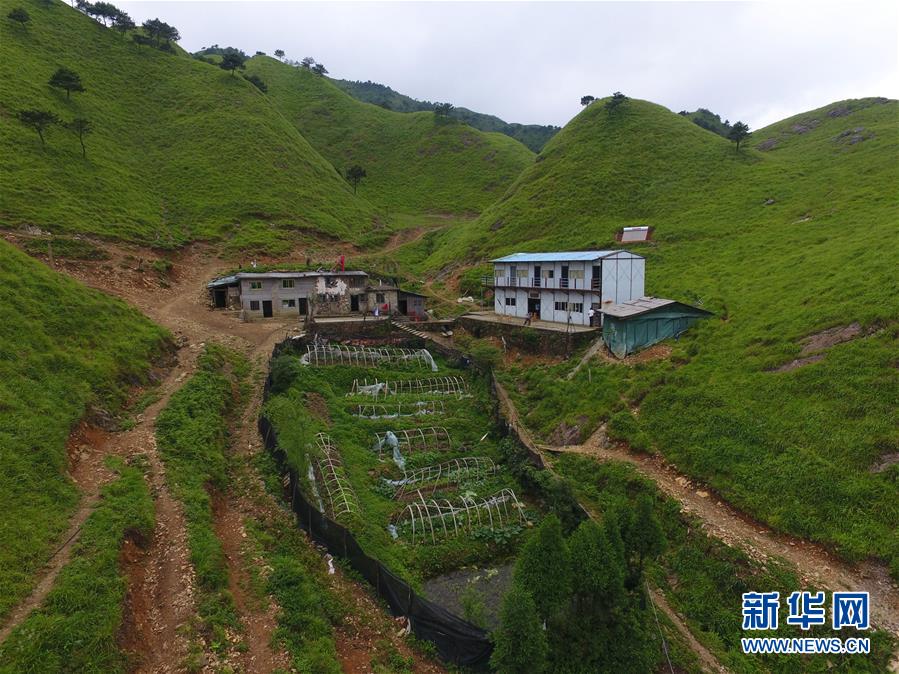 （新華全媒頭條·圖文互動）（3）一個人,，一座山——劉真茂的生命守望