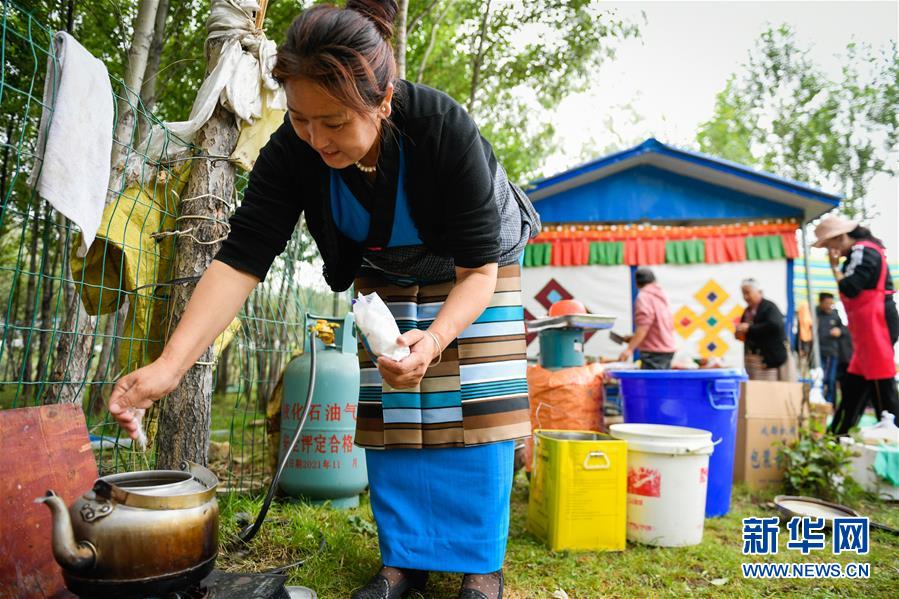 （社會(huì)）（11）夏日“過林卡” 親近大自然