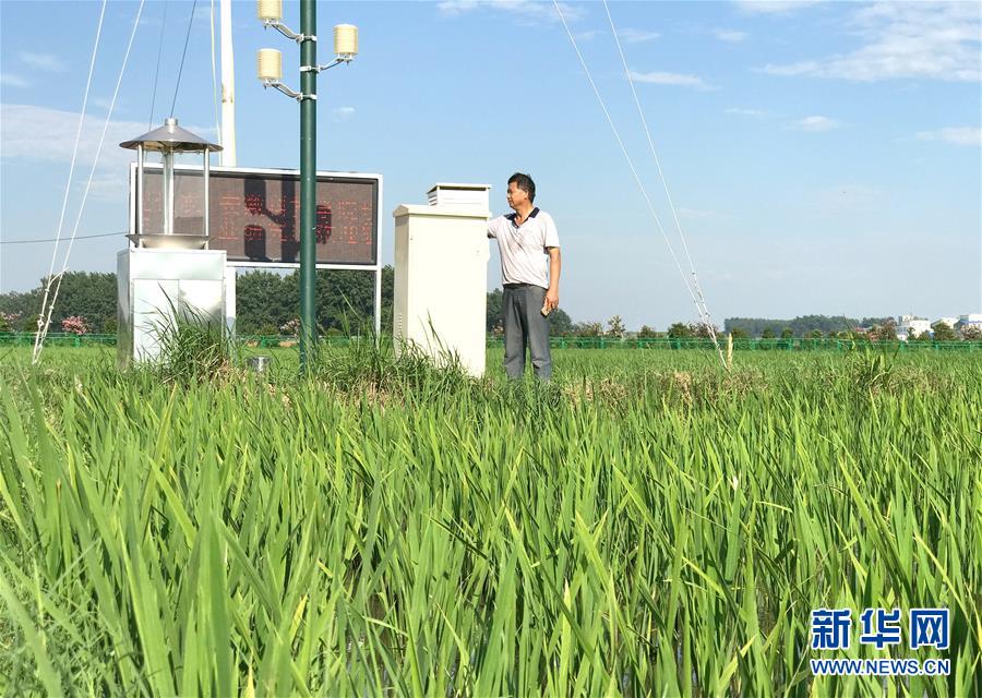 （新華全媒頭條·圖文互動(dòng)）（4）最年輕的節(jié)日 最悠久的牽念——寫給首個(gè)中國農(nóng)民豐收節(jié)