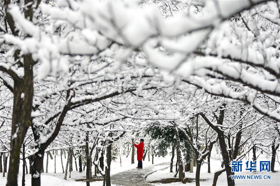 （鏡觀中國(guó)·新華社國(guó)內(nèi)照片一周精選）（12）冰雪世界