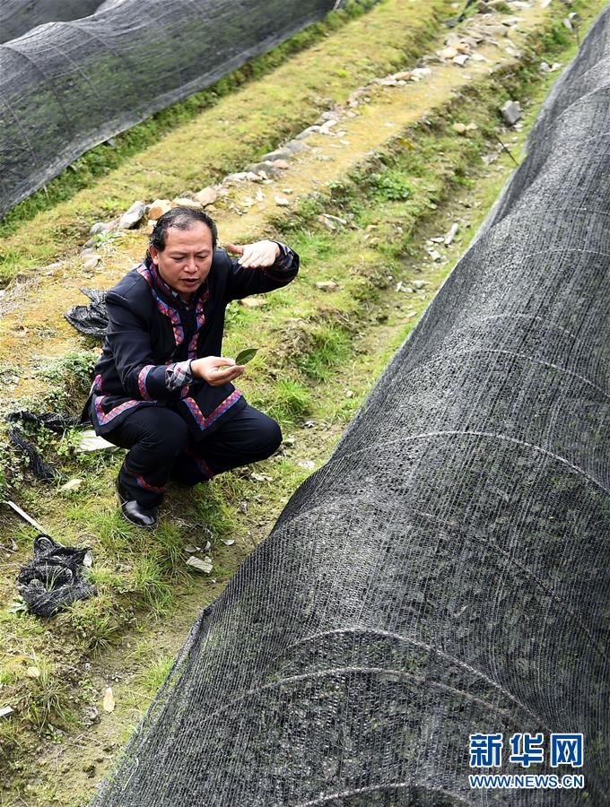 （兩會(huì)·基層代表履職故事）（7）全國人大代表龍獻(xiàn)文：幸福都是奮斗出來的!