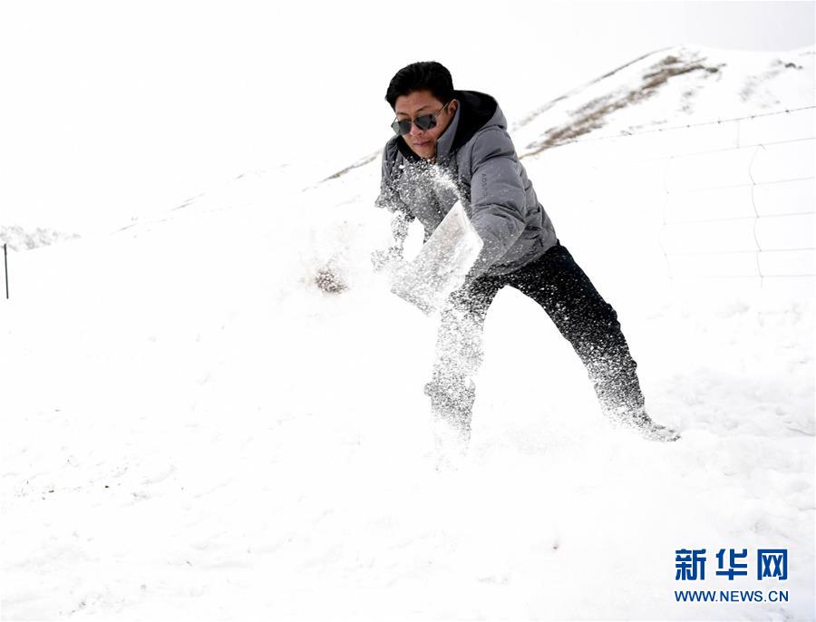 （新華全媒頭條·圖文互動）（2）風(fēng)雪中傳遞溫暖的力量——記青海干部群眾抗擊玉樹雪災(zāi)