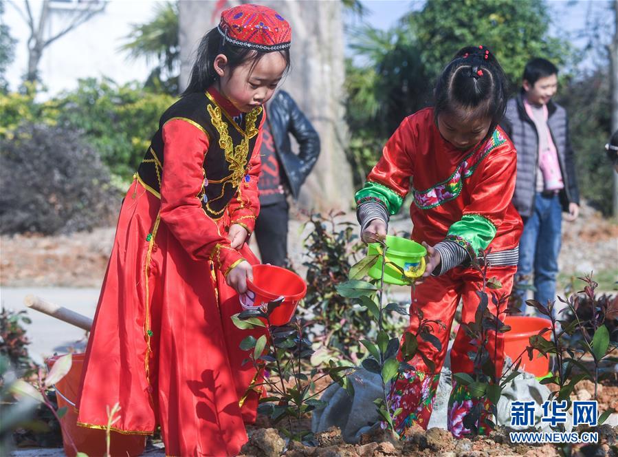 （社會）（1）多民族兒童共迎植樹節(jié)