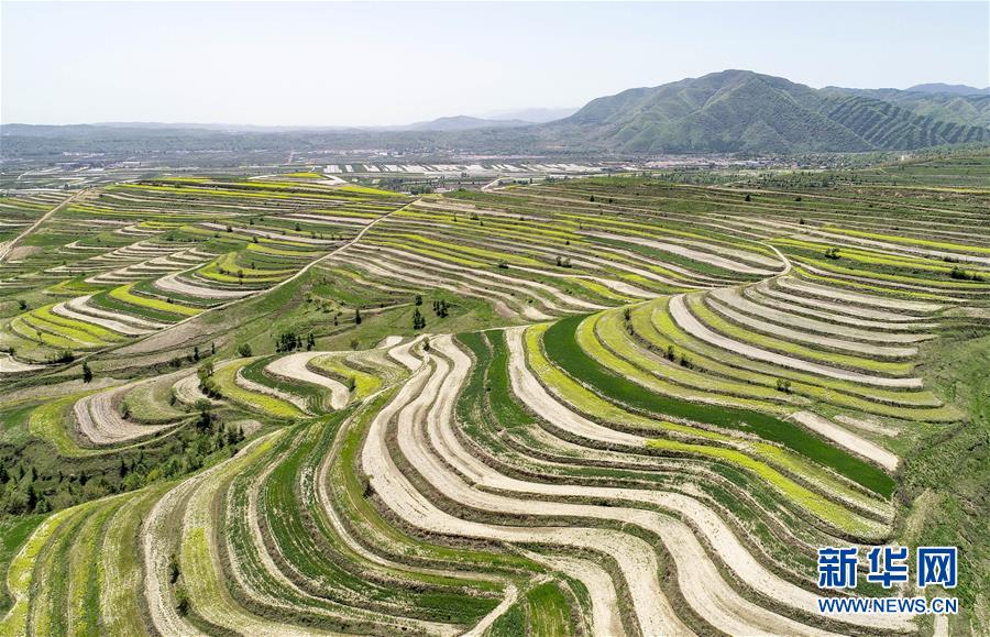 （新華全媒頭條·壯麗70年·奮斗新時代·圖文互動）（6）中國減貧的西海固報告