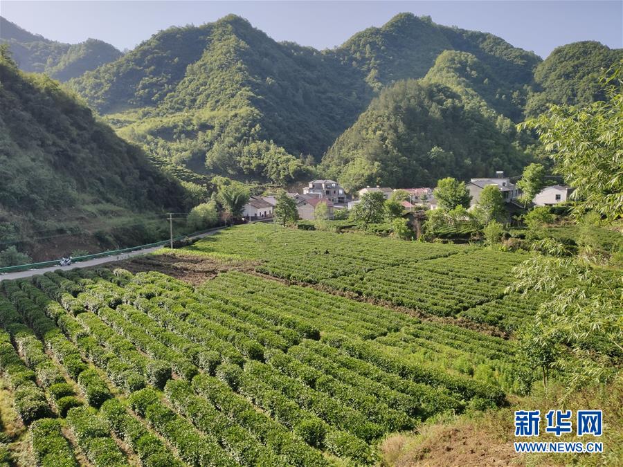 （圖文互動）（1）漢江畔崛起生態(tài)城——來自南水北調(diào)中線核心水源地的調(diào)查報告