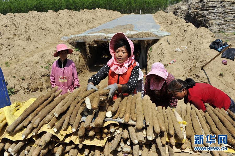 （在習(xí)近平新時(shí)代中國特色社會主義思想指引下——新時(shí)代新作為新篇章·圖文互動(dòng)）（4）中條山下綠意濃——一個(gè)“資源窮縣”的生態(tài)發(fā)展之路